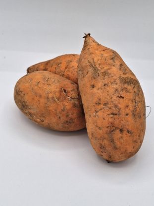 Bild von BIO - Süsskartoffel per kg  