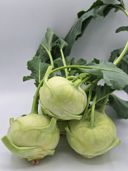 Bild von BIO -  Kohlrabi  per Stk.