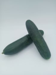 Bild von BIO - Gurken gemischt per kg