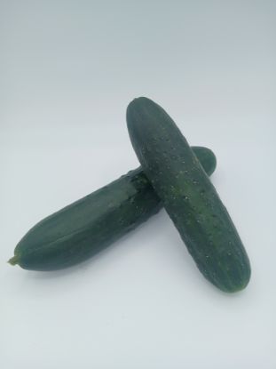 Bild von BIO - Gurken gemischt per kg