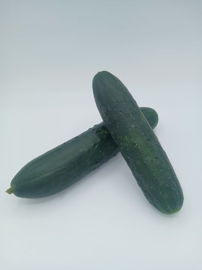 Bild von BIO - Gurken gemischt per kg