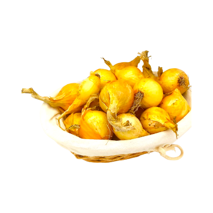 Picture of BIO - Zwiebel per kg