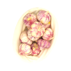 Picture of BIO - Knoblauch AGRO /kg