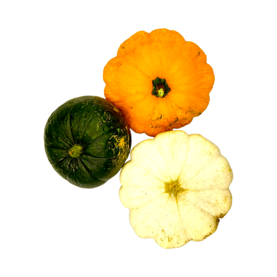Picture of BIO - Kürbis gemischt per kg