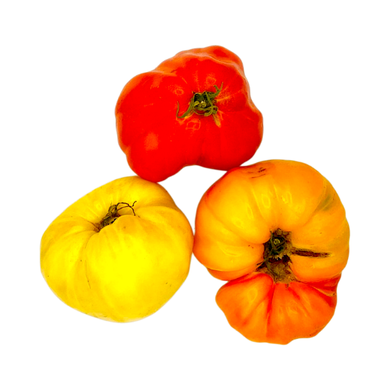 Bild von BIO - Paradeiser fleischig per kg
