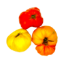 Bild von BIO - Paradeiser fleischig per kg