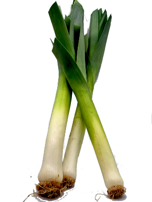 Bild von BIO - Lauch per kg