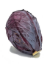 Picture of BIO - Rotkraut per kg 