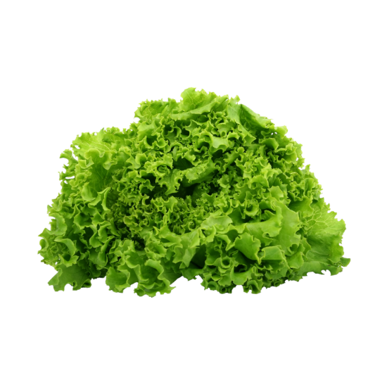 Bild von BIO - Kopfsalat per Stk. 