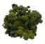 Picture of BIO - Brokkoli per kg