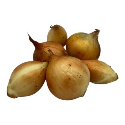 Picture of BIO - Zwiebel per kg
