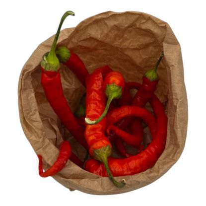 Picture of BIO - Pfefferoni per Stk