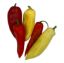 Picture of BIO - Paprika bunt klein per Stk  